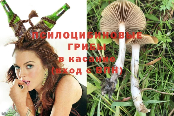 соль ск Протвино