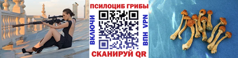купить наркотики цена  Петровск  даркнет состав  Галлюциногенные грибы MAGIC MUSHROOMS 