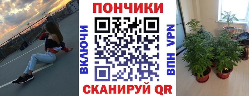 Конопля AK-47  Петровск 